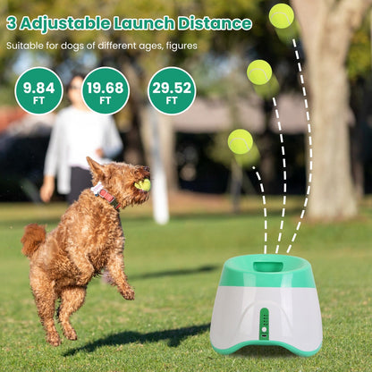 1Pc Automatic Dog Ball Launcher With 6 Tennis Balls