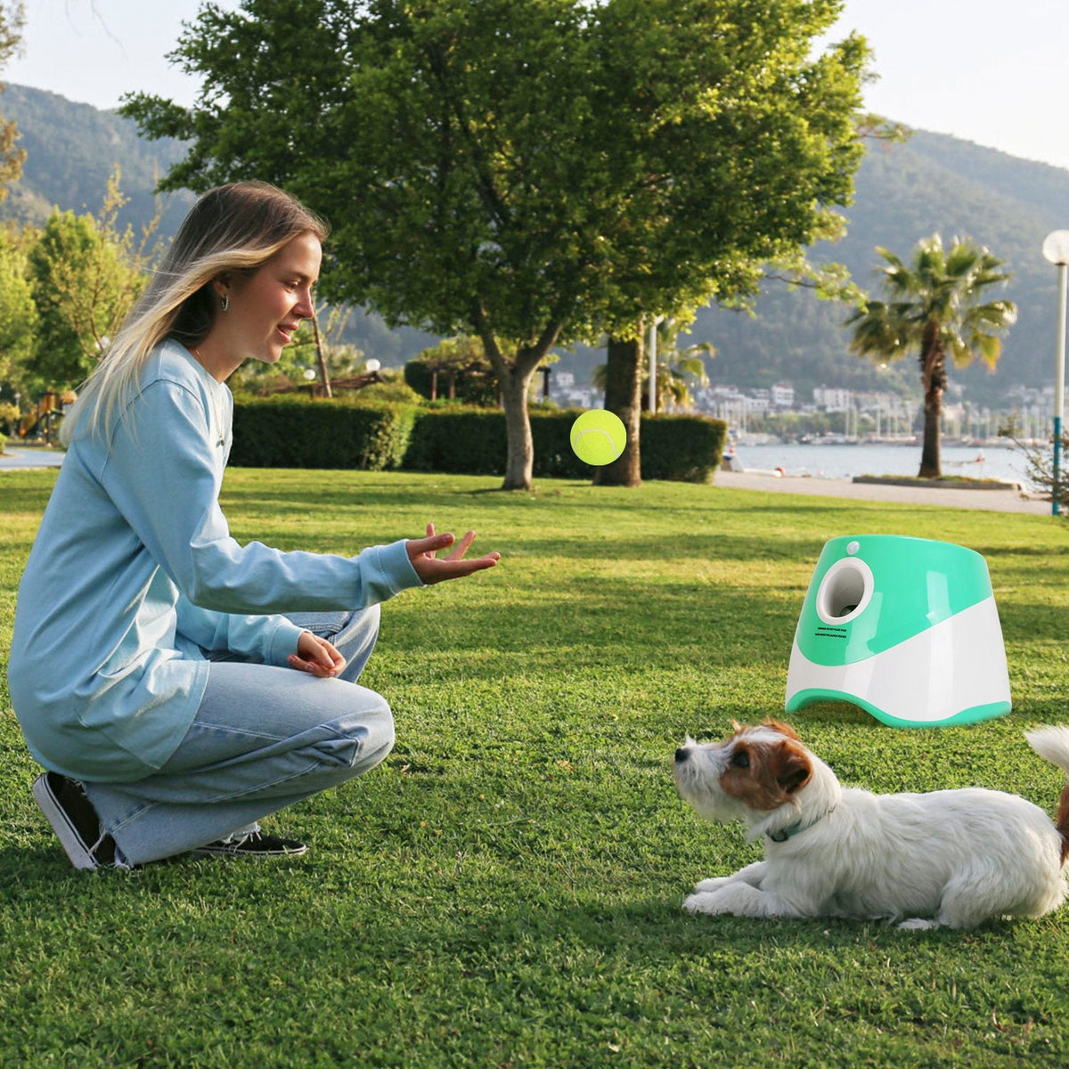 1Pc Automatic Dog Ball Launcher With 6 Tennis Balls